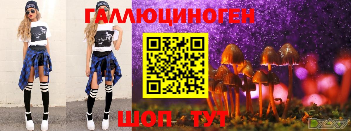 Псилоцибиновые грибы прущие грибы Уссурийск